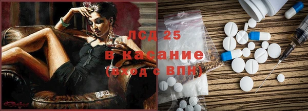 спиды Богданович