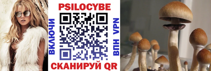 цена   Гулькевичи  Галлюциногенные грибы прущие грибы 