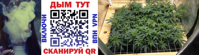 кракен как зайти  Гулькевичи  Бошки марихуана конопля 